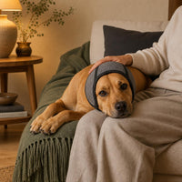 Orejeras Antirruido para Perros | Petardos, Tormentas y Baño