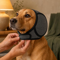 Orejeras Antirruido para Perros | Petardos, Tormentas y Baño